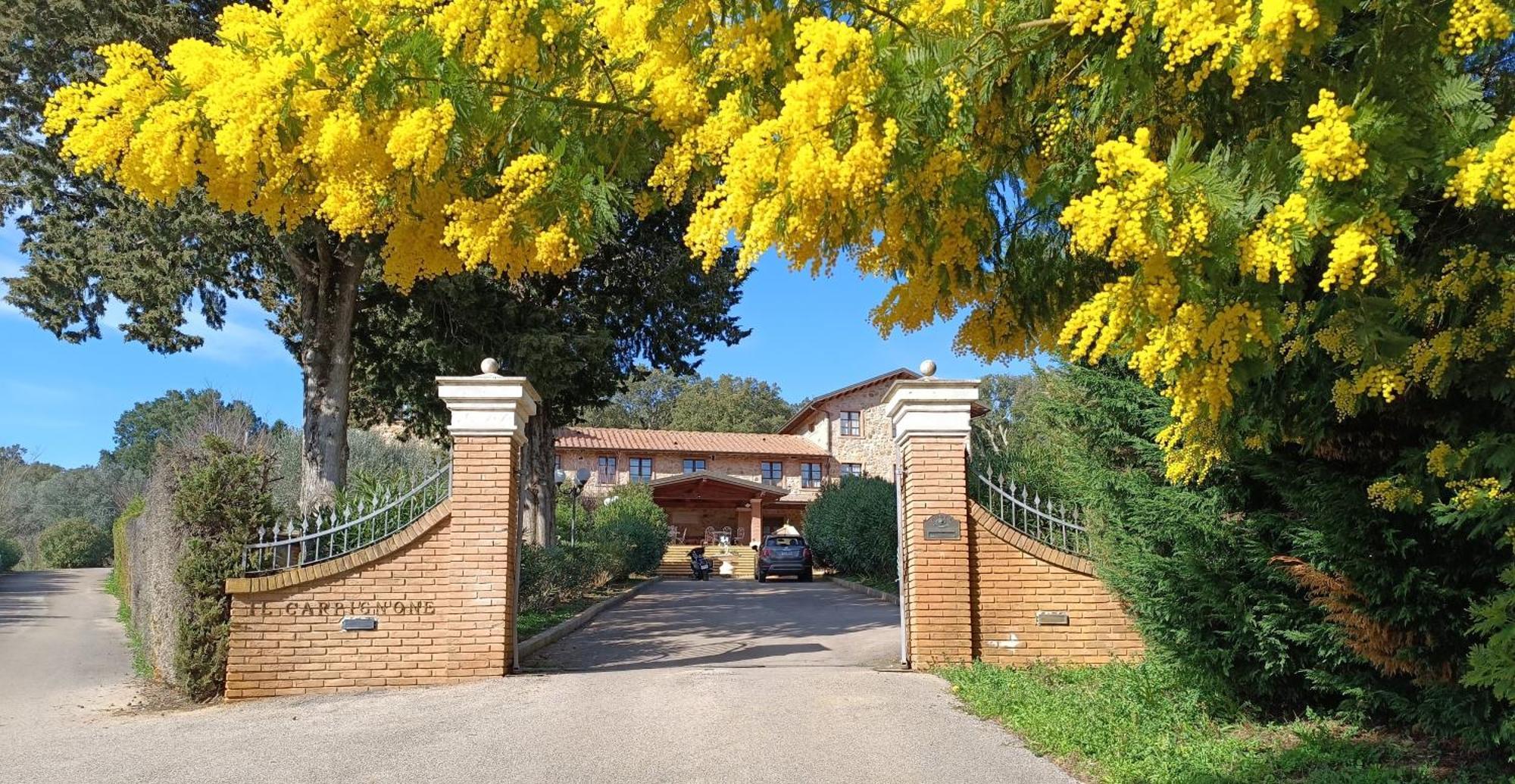 Agriturismo Capricorni Massa Marittima Dış mekan fotoğraf