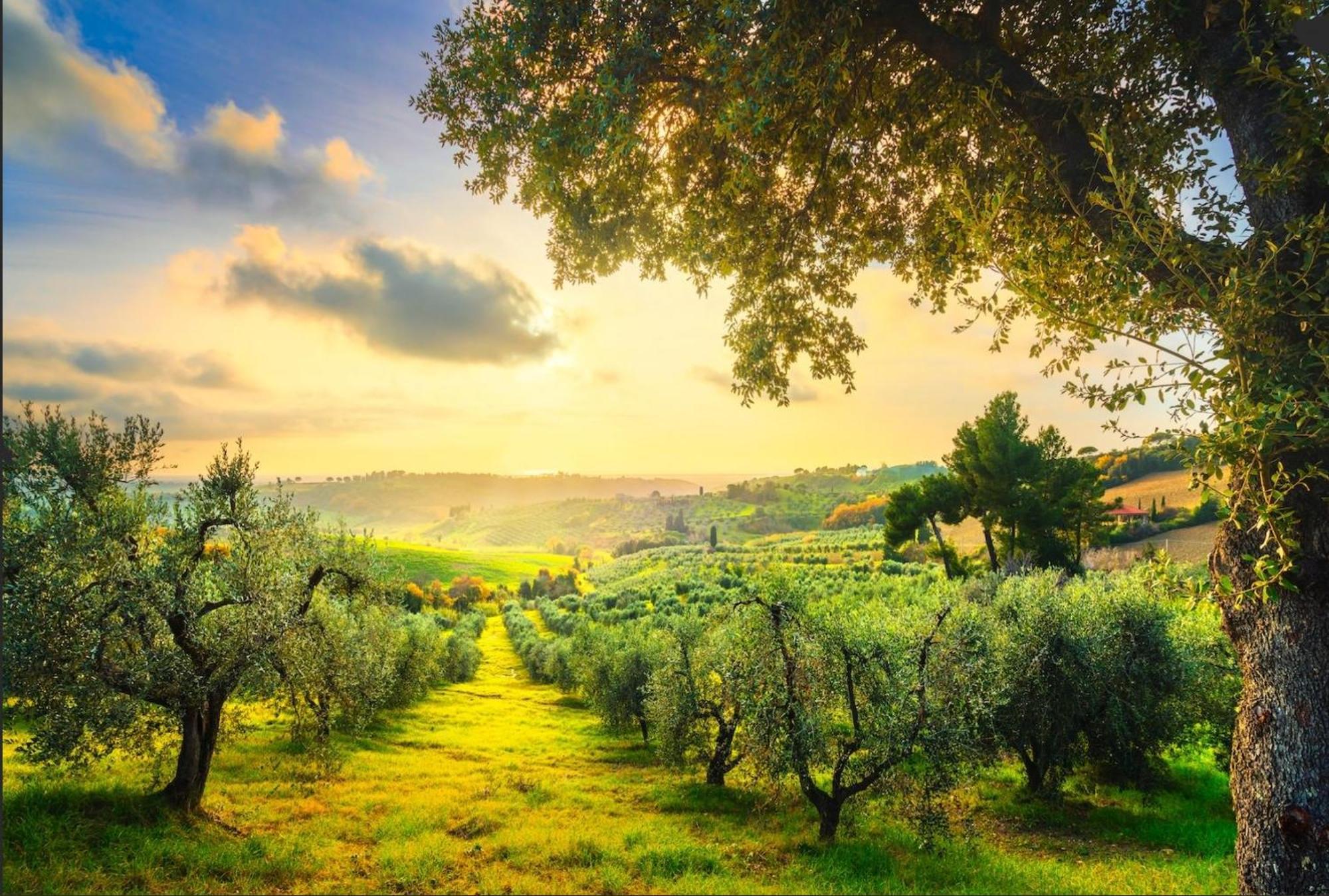 Agriturismo Capricorni Massa Marittima Dış mekan fotoğraf